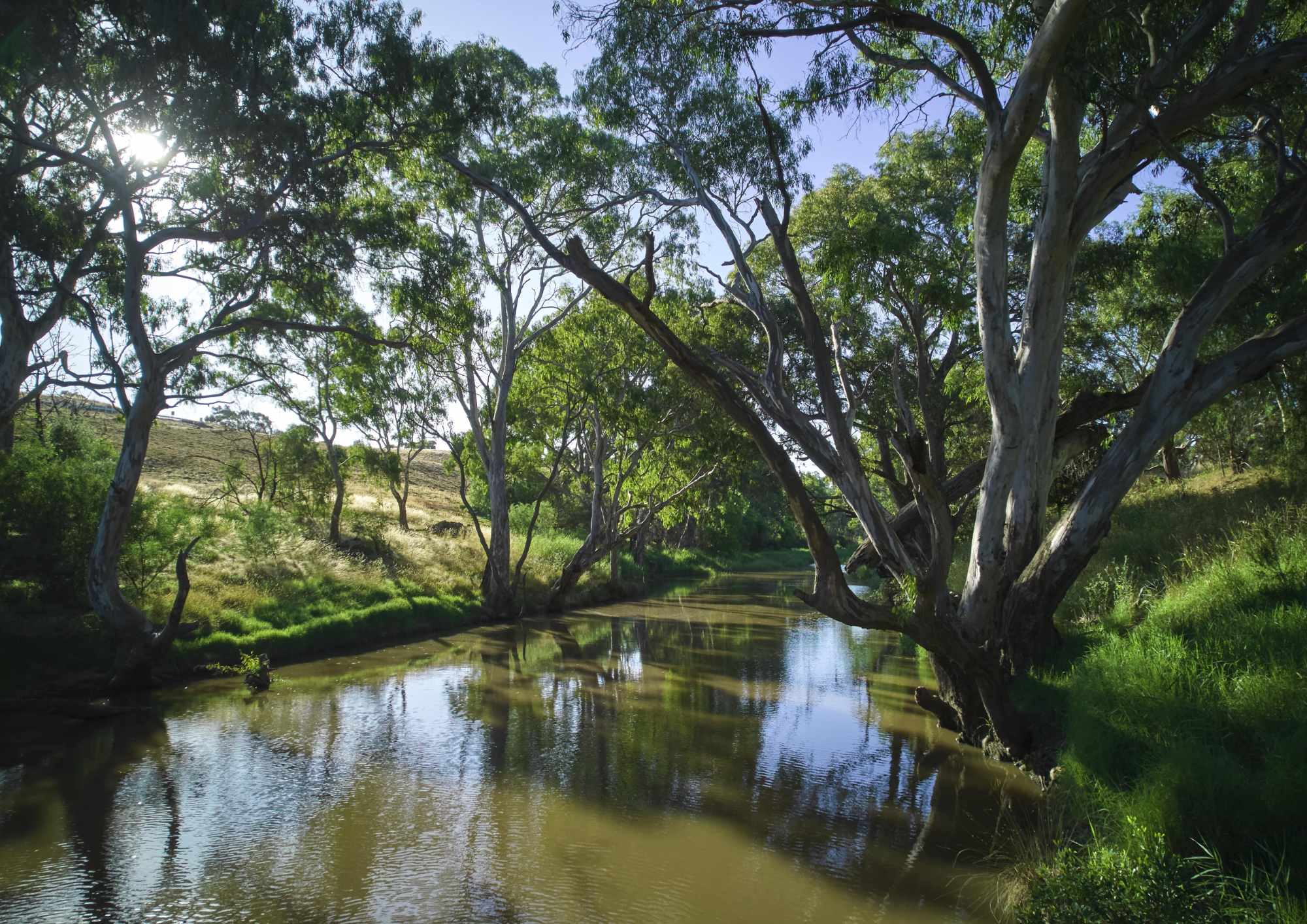 [Land for Sale] Exford Waters Estate, Weir Views OpenLot